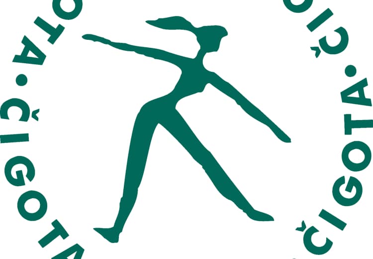 cigota